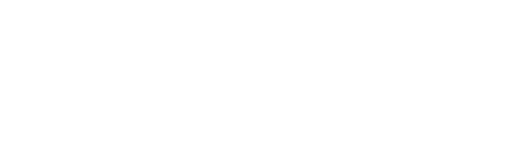 eirinstitute.com